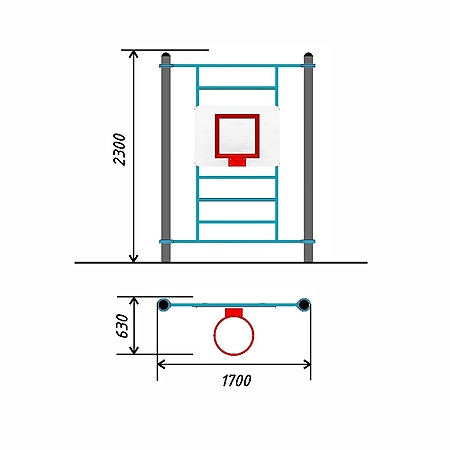 Гимнастический снаряд «Шведская стенка», оснащенный баскетбольным кольцом с сеткой диаметром 18 дюймов (46 см) - для инвалидов и лиц с ОВЗ (для выполнения испытания (теста) «Бросок теннисного мяча в корзину на полу») тр.ду.108 фото 2